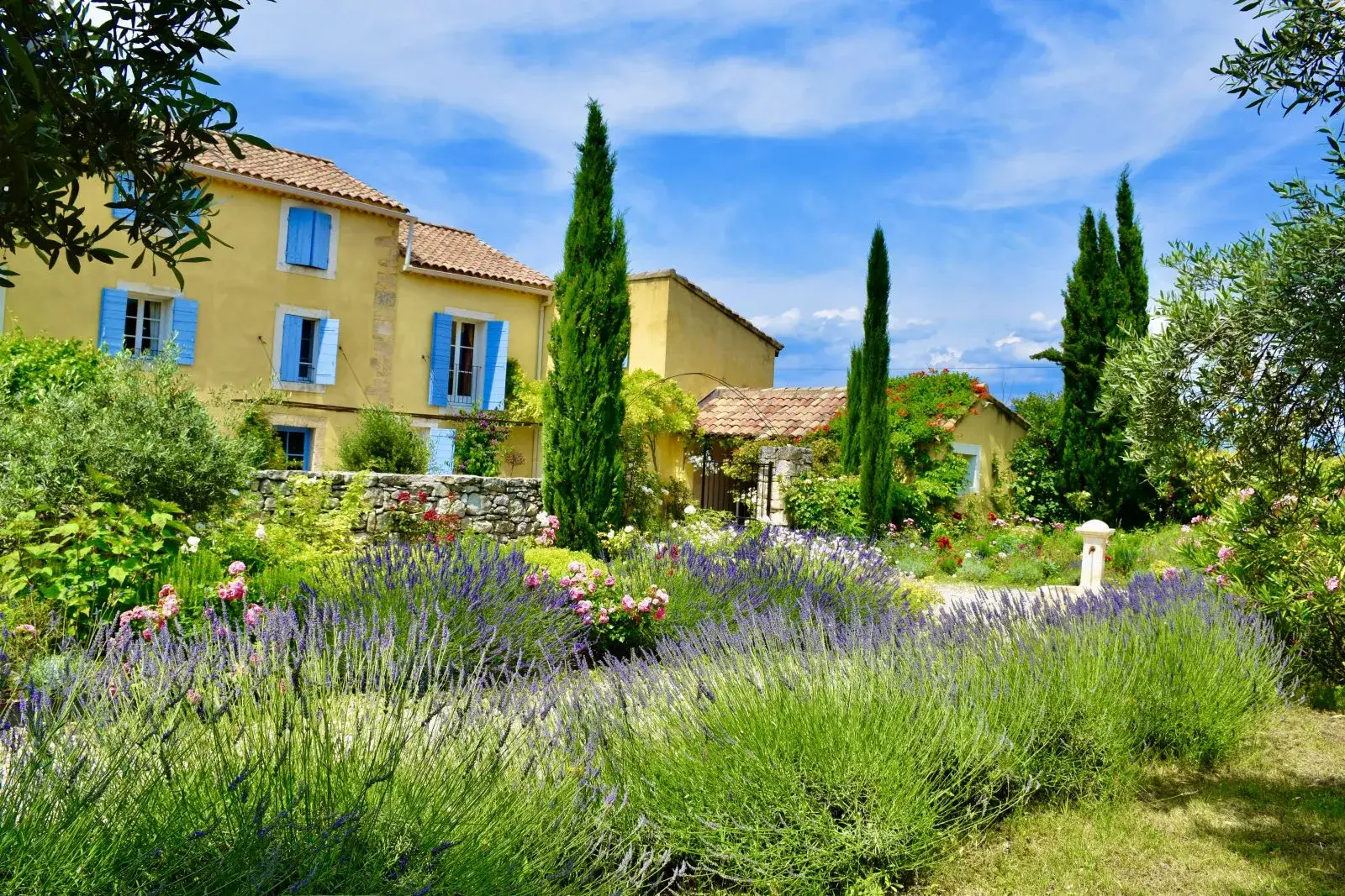 garden garden
